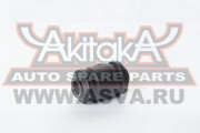 Akitaka 0101053