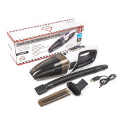 ARNEZI A0306003