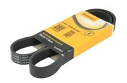 Continental 6PK1039ELAST
