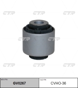 Ctr CVHO36