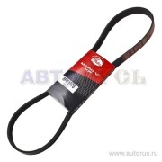 Gates 6PK1078