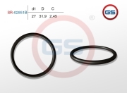 GS SR02851B