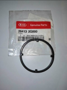 Hyundai-KIA 264132G000