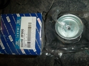 Hyundai-KIA 553102F000