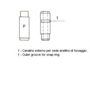 Metelli 012326