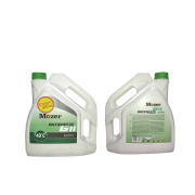 Mozer 4606482
