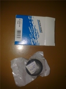 VICTOR REINZ 813555100
